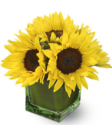 Flowers from your florist in Lakeland, Florida (FL), Cottage Florist & Antiques
